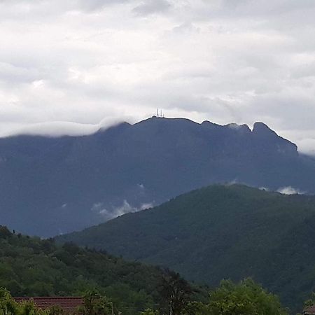 Casa Rariana Hotell Călimăneşti Exteriör bild