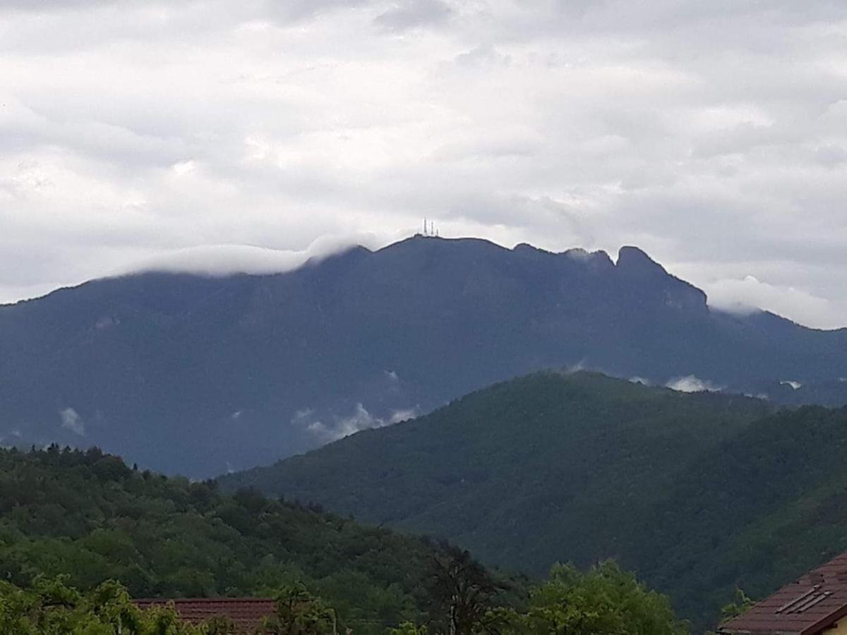 Casa Rariana Hotell Călimăneşti Exteriör bild