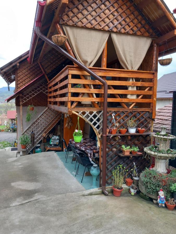 Casa Rariana Hotell Călimăneşti Exteriör bild
