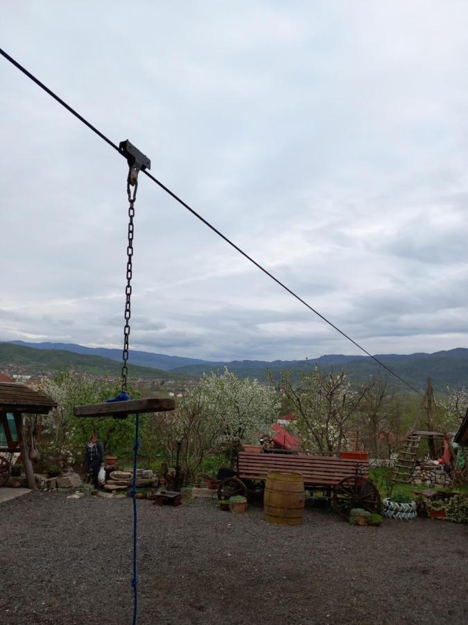 Casa Rariana Hotell Călimăneşti Exteriör bild