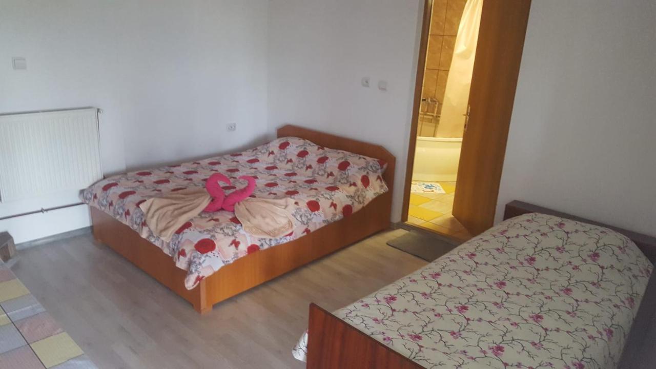 Casa Rariana Hotell Călimăneşti Exteriör bild
